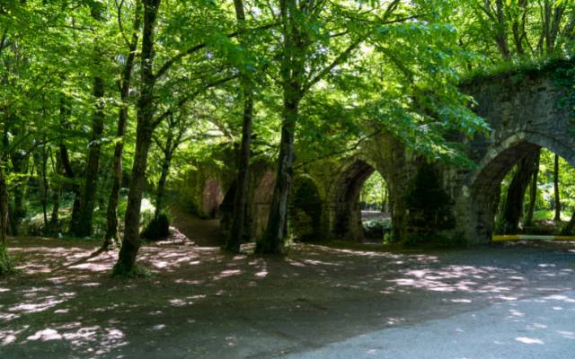 Belgrad Forest Istanbul featuring trees and an ancient stone aqueduct
